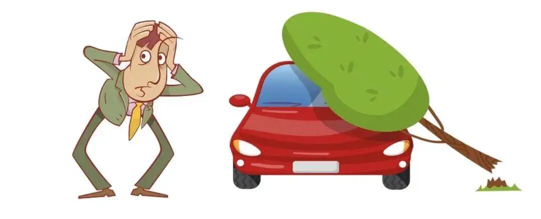 私家车被小区内绿化树砸坏，应该由谁来担责？_王某_调解_车辆